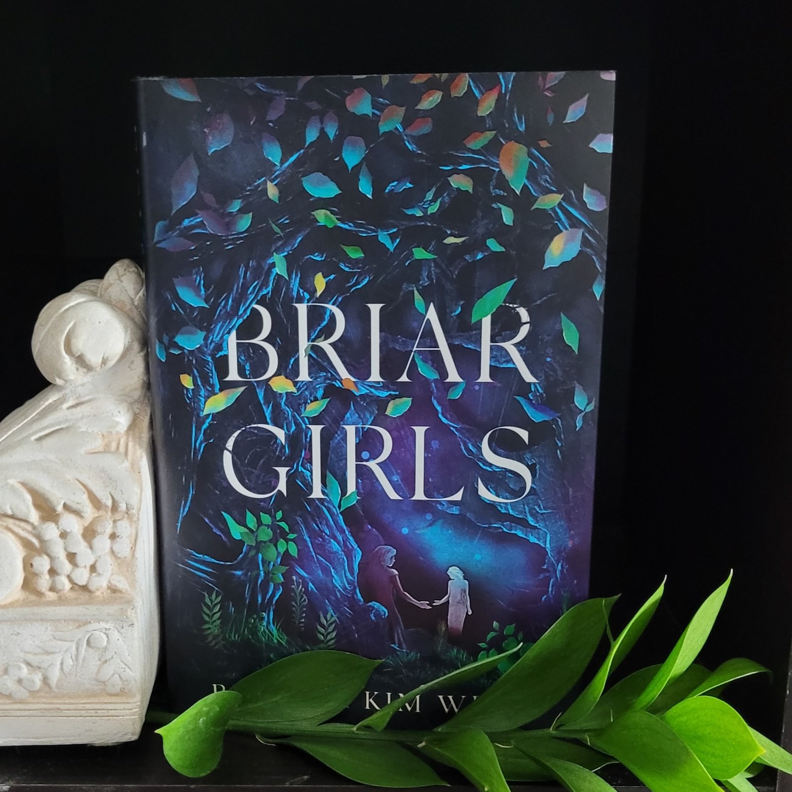 Briar Girls book, framed by greenery and a carved floral relief bookend.